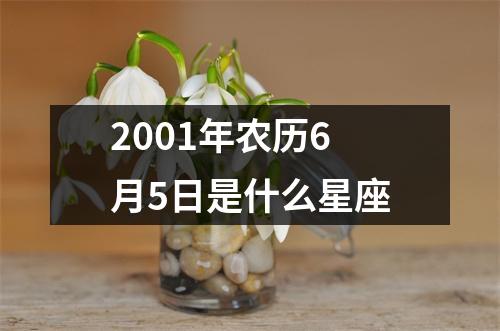 2001年农历6月5日是什么星座