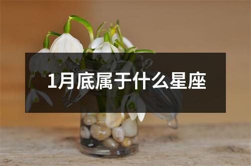 1月底属于什么星座