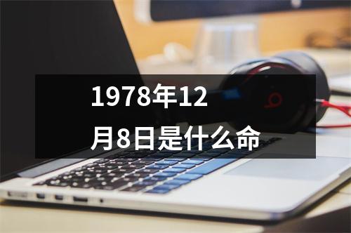 1978年12月8日是什么命