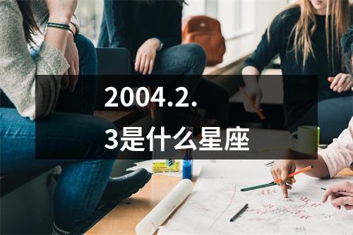 2004.2.3是什么星座