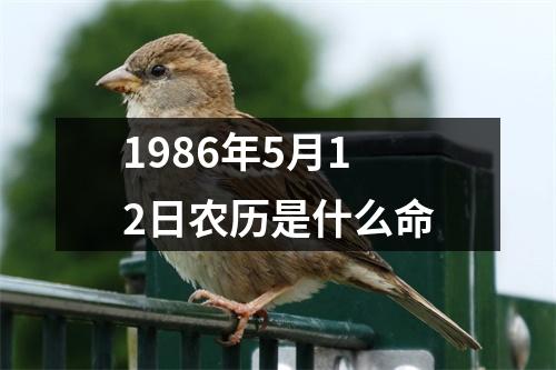 1986年5月12日农历是什么命