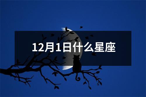 12月1日什么星座