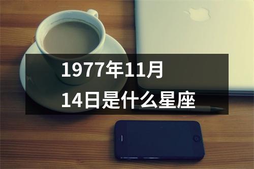 1977年11月14日是什么星座