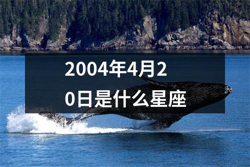 2004年4月20日是什么星座