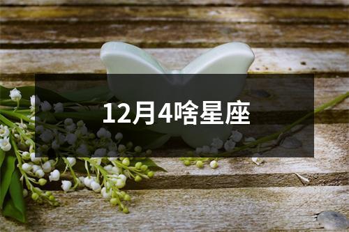 12月4啥星座