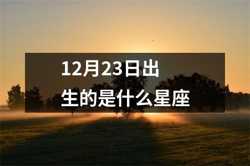 12月23日出生的是什么星座