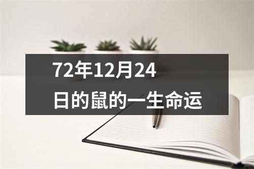 72年12月24日的鼠的一生命运