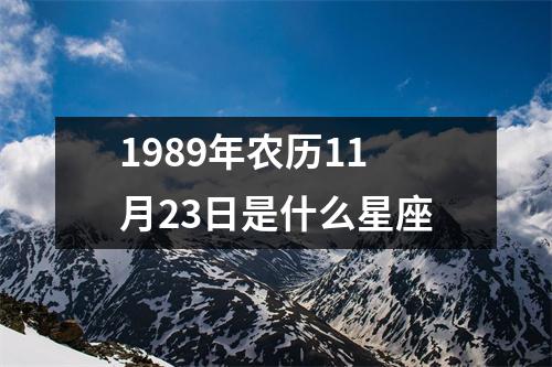 1989年农历11月23日是什么星座