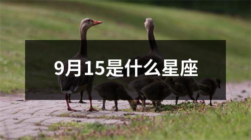 9月15是什么星座