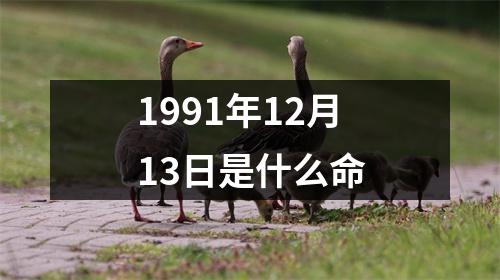 1991年12月13日是什么命