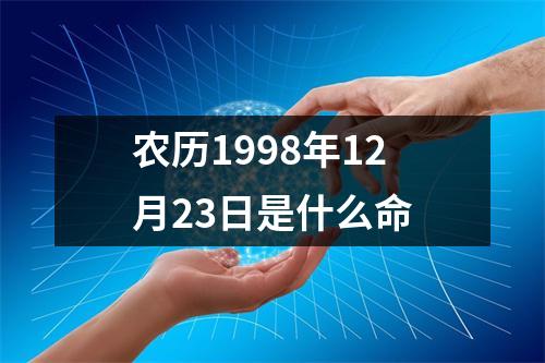 农历1998年12月23日是什么命