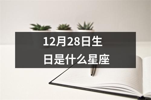 12月28日生日是什么星座