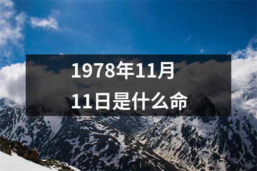 1978年11月11日是什么命