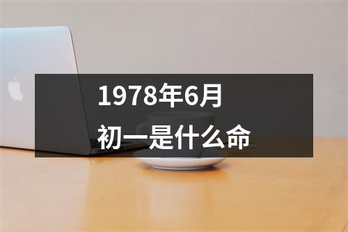 1978年6月初一是什么命