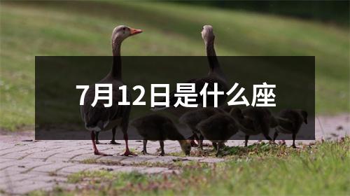 7月12日是什么座