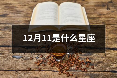 12月11是什么星座