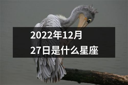 2022年12月27日是什么星座