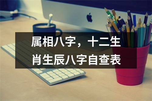 属相八字，十二生肖生辰八字自查表