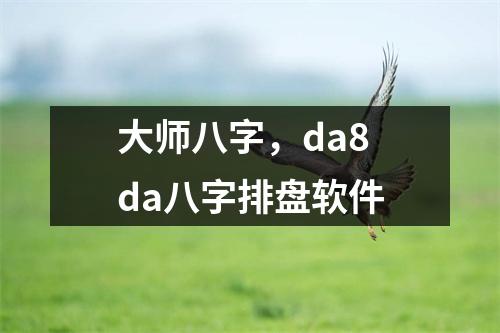 大师八字，da8da八字排盘软件