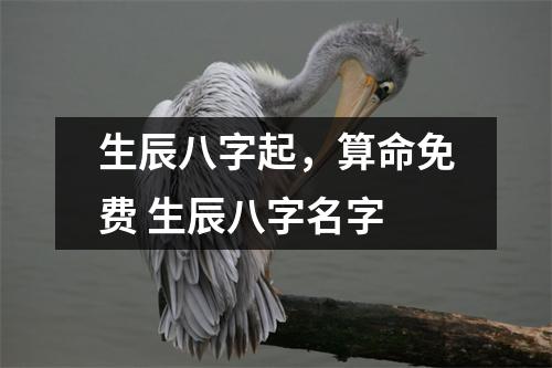 生辰八字起，算命免费 生辰八字名字