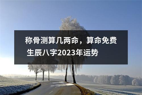 称骨测算几两命，算命免费 生辰八字2023年运势