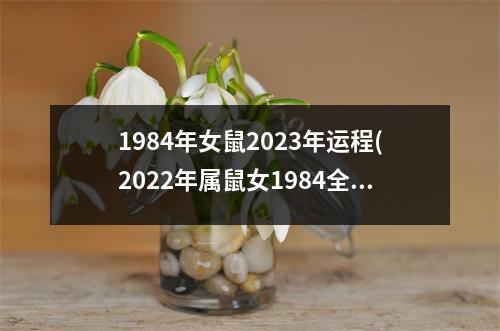 1984年女鼠2023年运程(2022年属鼠女1984全年运势)