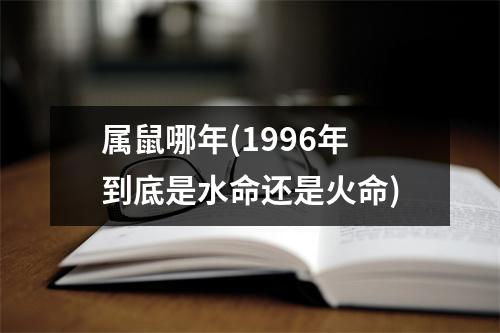 属鼠哪年(1996年到底是水命还是火命)