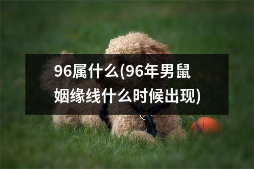 96属什么(96年男鼠姻缘线什么时候出现)