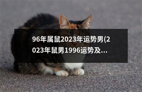 96年属鼠2023年运势男(2023年鼠男1996运势及运程)