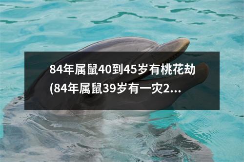 84年属鼠40到45岁有桃花劫(84年属鼠39岁有一灾2023年)