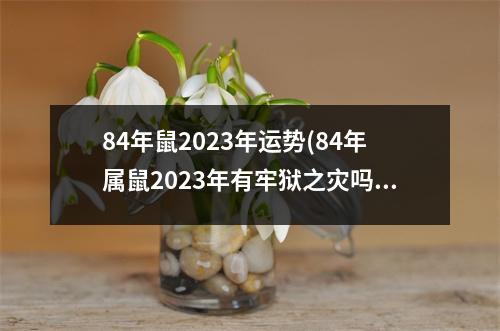 84年鼠2023年运势(84年属鼠2023年有牢狱之灾吗)