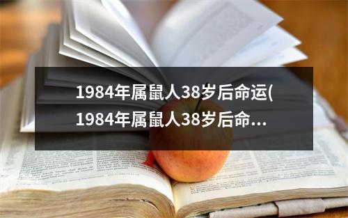 1984年属鼠人38岁后命运(1984年属鼠人38岁后命运财运如何)