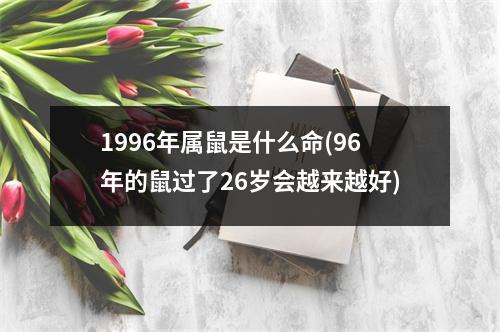 1996年属鼠是什么命(96年的鼠过了26岁会越来越好)