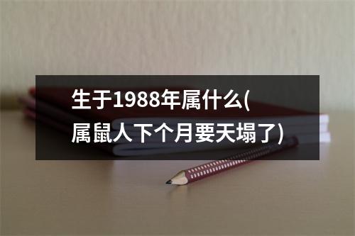 生于1988年属什么(属鼠人下个月要天塌了)