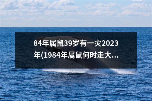 84年属鼠39岁有一灾2023年(1984年属鼠何时走大运)