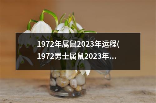 1972年属鼠2023年运程(1972男士属鼠2023年整体财运)