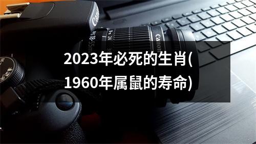 2023年必死的生肖(1960年属鼠的寿命)