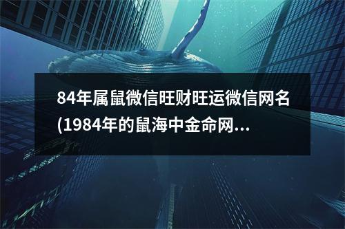 84年属鼠微信旺财旺运微信网名(1984年的鼠海中金命网名大全)