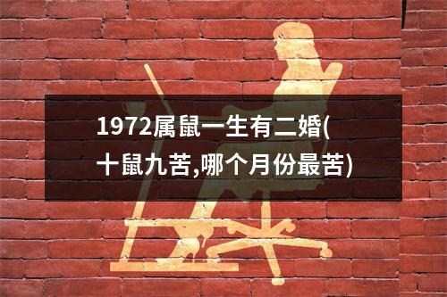 1972属鼠一生有二婚(十鼠九苦,哪个月份苦)