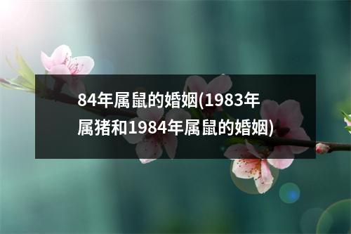 84年属鼠的婚姻(1983年属猪和1984年属鼠的婚姻)