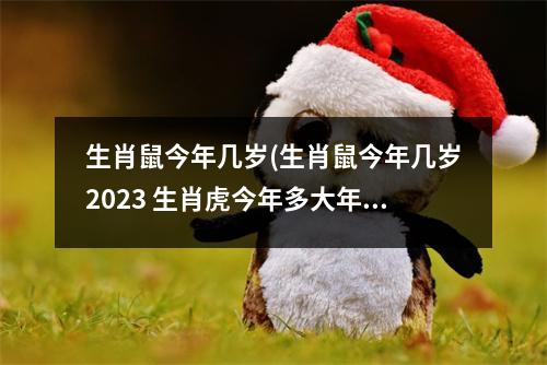 生肖鼠今年几岁(生肖鼠今年几岁2023 生肖虎今年多大年龄2023)