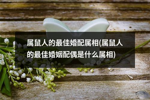 属鼠人的佳婚配属相(属鼠人的佳婚姻配偶是什么属相)