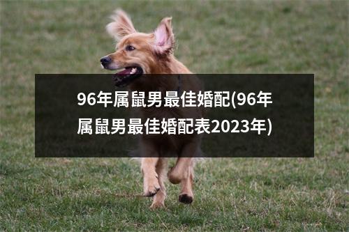 96年属鼠男佳婚配(96年属鼠男佳婚配表2023年)