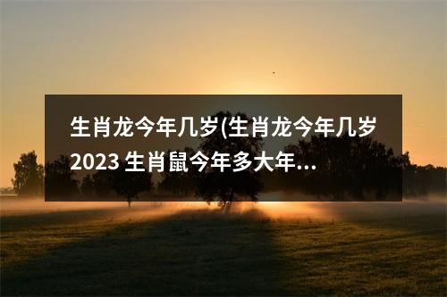 生肖龙今年几岁(生肖龙今年几岁2023 生肖鼠今年多大年龄2023)