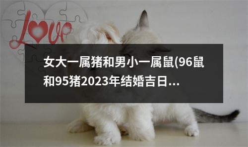 女大一属猪和男小一属鼠(96鼠和95猪2023年结婚吉日)