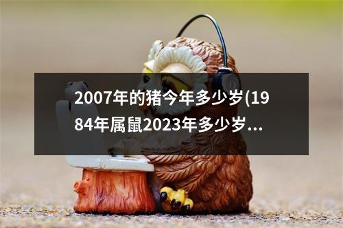 2007年的猪今年多少岁(1984年属鼠2023年多少岁)