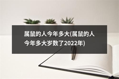 属鼠的人今年多大(属鼠的人今年多大岁数了2022年)