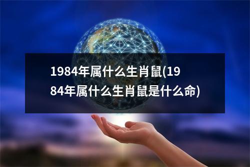 1984年属什么生肖鼠(1984年属什么生肖鼠是什么命)