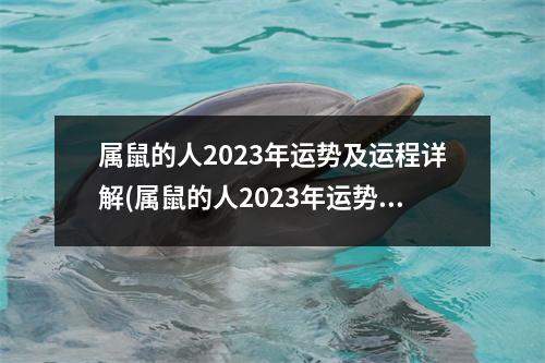 属鼠的人2023年运势及运程详解(属鼠的人2023年运势及运程详解讲解)