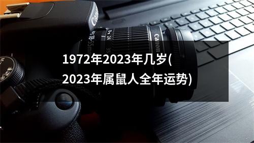 1972年2023年几岁(2023年属鼠人全年运势)